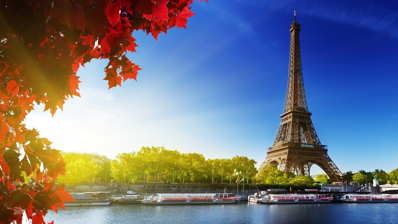 Study In France